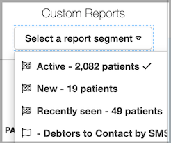 Dentally Patients Report - Custom Report Segments